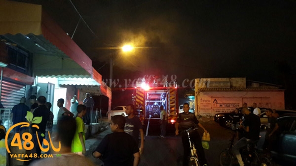 fire manjara (2).jpg